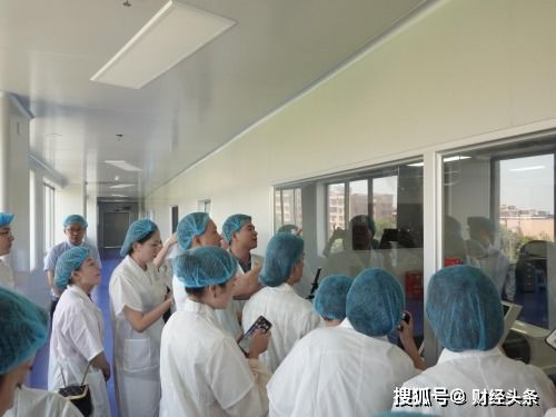 工厂品牌如何3个月招募2000代理 蓓悠清品牌的成长之路与代理代办策略