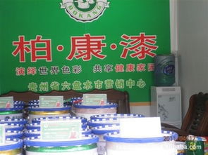 朱小芳代理代办 专业服务，助您高效解决事务难题